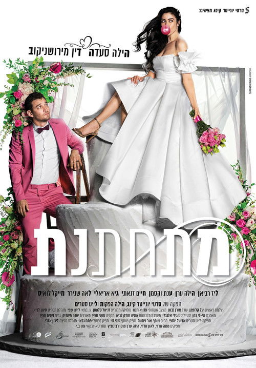 Marrying Myself poster