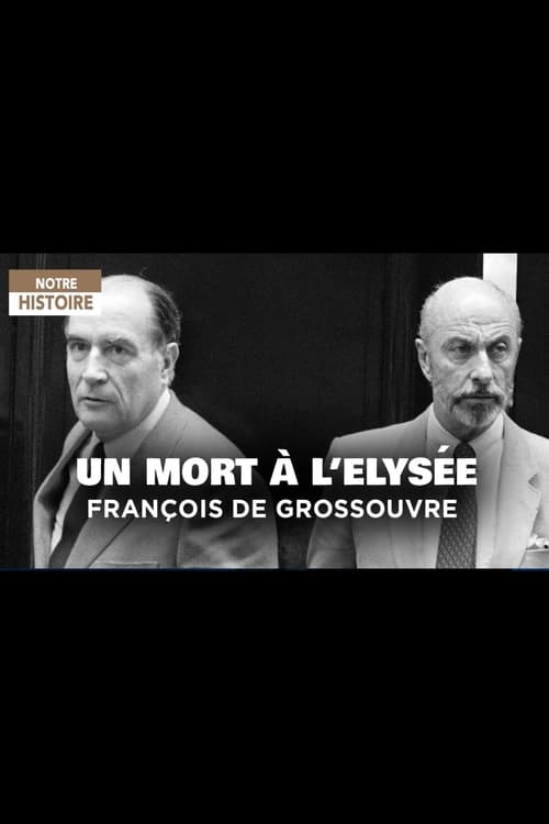 Poster Un mort à L'Elysée: François de Grossouvre 2013