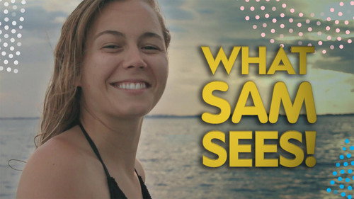 What Sam Sees — Backdrops 3