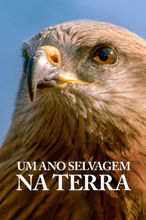 Pôster oficial de Um Ano Selvagem na Terra (2020) - Documentário
