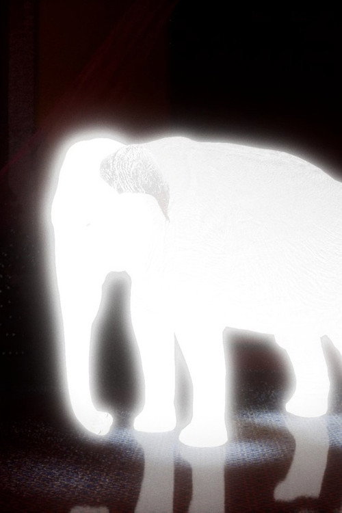 King of Cyborg Elephant