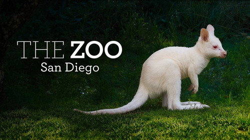 San Diego Zoo Bild 3