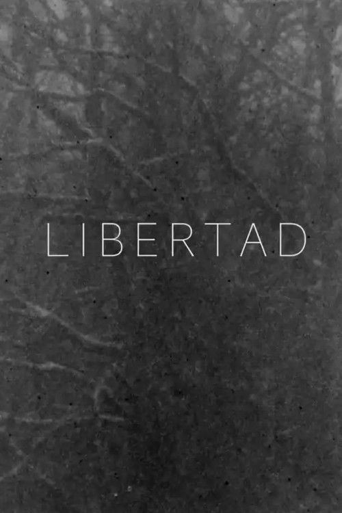Libertad poster