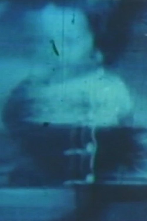 Movie poster of Fissures