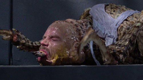 Image du film