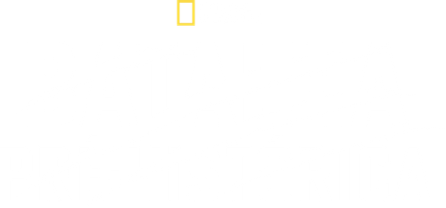 Dino Death Match - UnLim Play