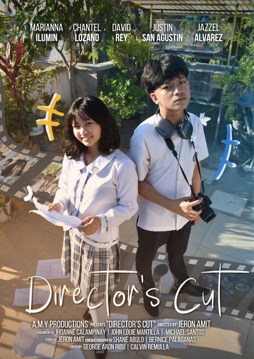 Director's Cut (2025) poster
