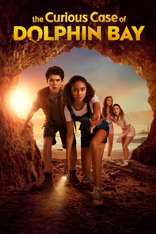The Curious Case of Dolphin Bay poster
