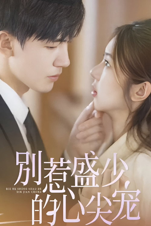 别惹盛少的心尖宠