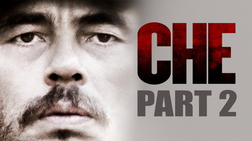 Che: Part Two