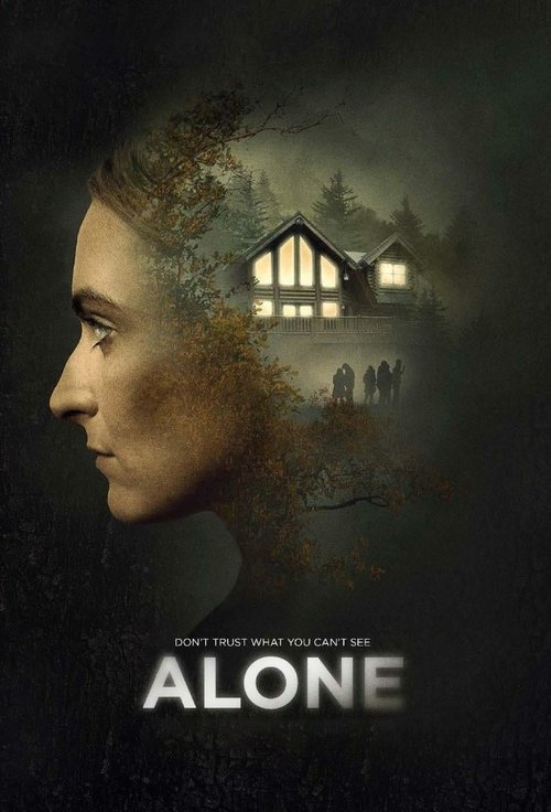 Descargar Alone 2020 Blu Ray Latino Online