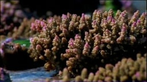Image de l'épisode 2