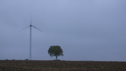 Image de l'épisode 37