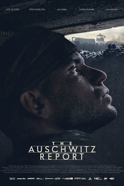 The Auschwitz Report (2020)