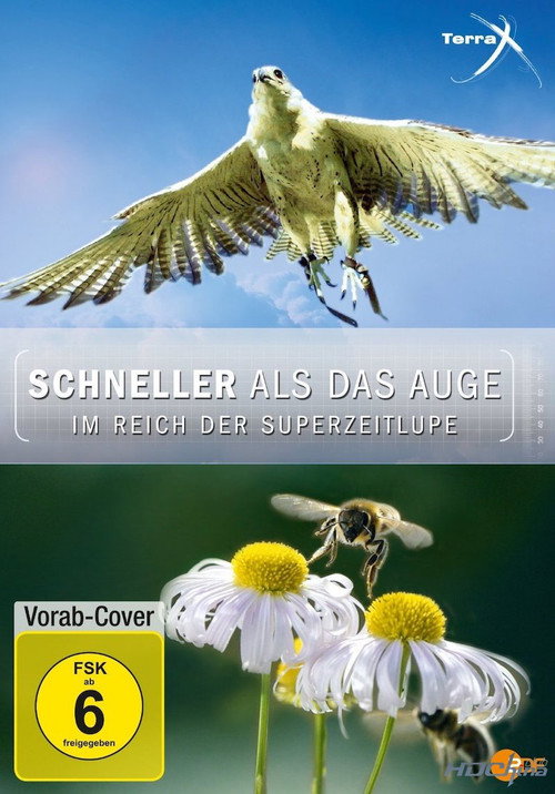 Schneller als das Auge - Im Reich der Superzeitlupe