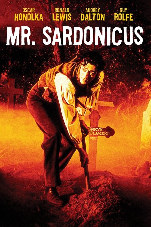 Poster 6
