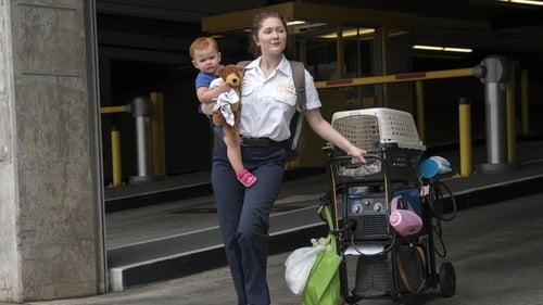 Shameless (US): 8×7