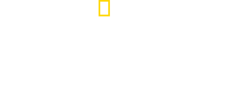Continent 7: Antarctica