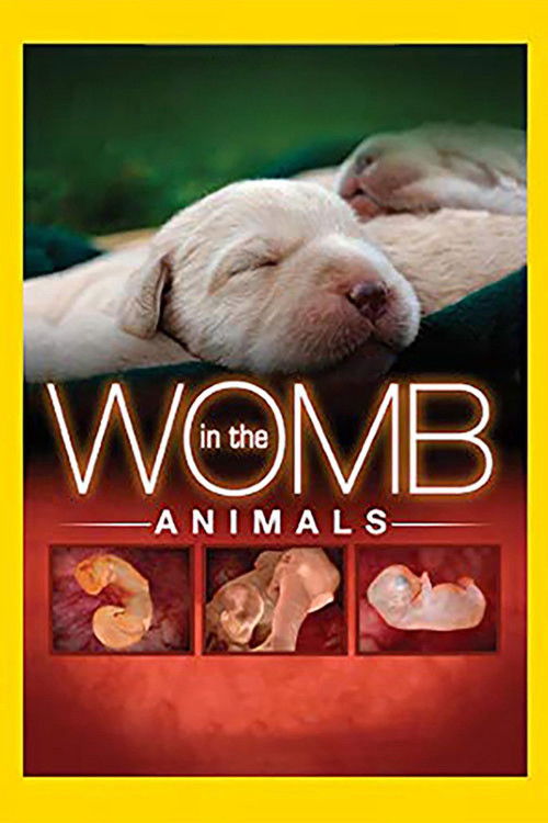 In The Womb: Animals poster