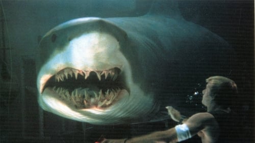 Do Fundo do Mar Torrent BluRay (1999) Dual Áudio, Dublado e Legendado