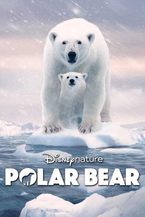 Polar Bear Movie Poster Image