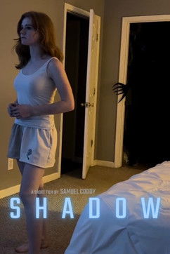 Shadow poster