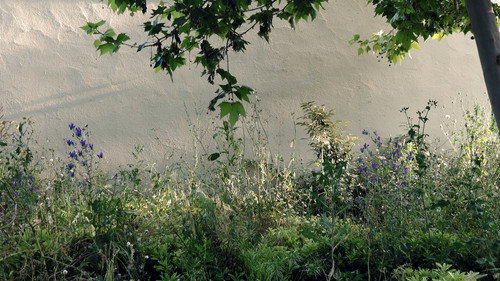 Del barro al barrio still