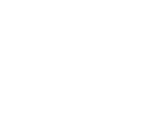 Little Fish