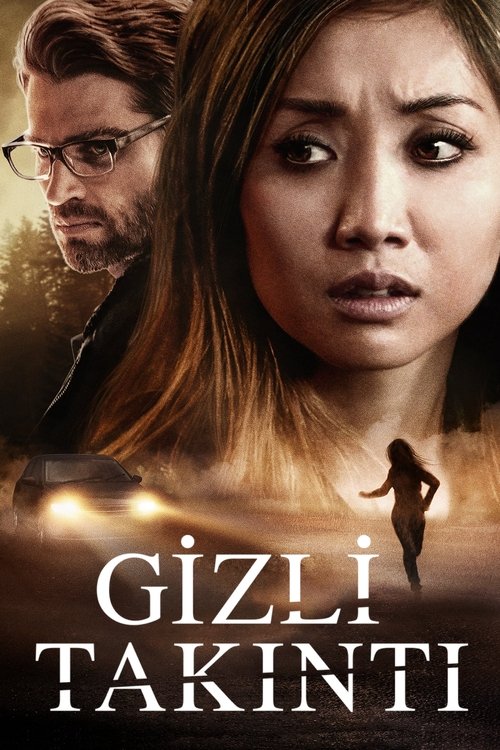 Gizli Takıntı ( Secret Obsession )