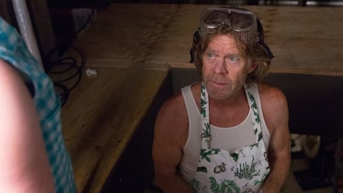 Shameless (US): 5×1