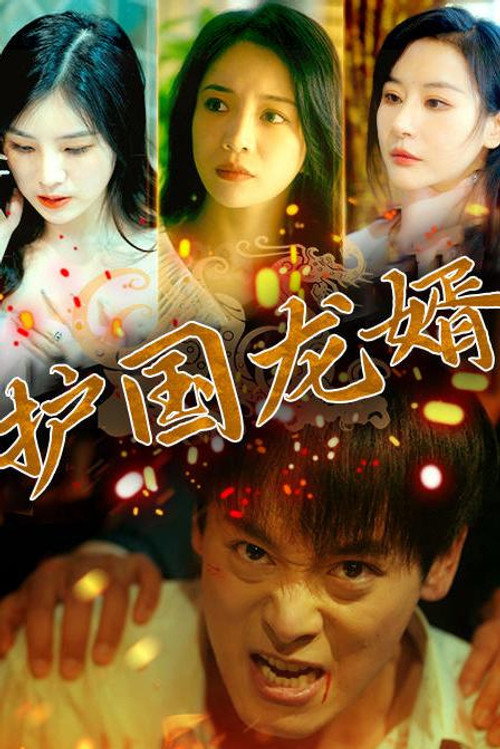 护国龙婿 - Season 1 Poster Blur