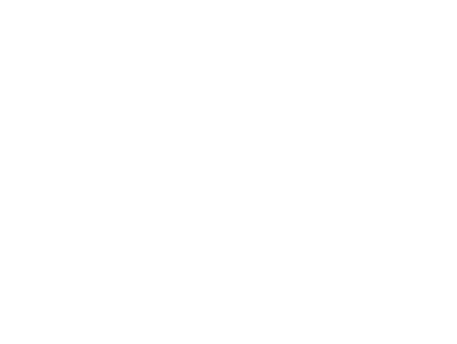 Bloodhounds of Broadway