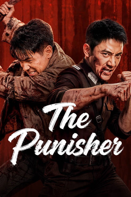 The Punisher poster