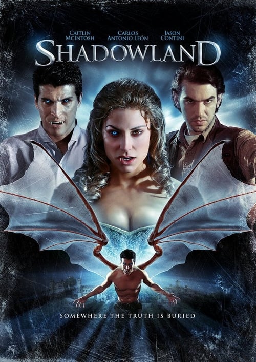 Poster Shadowland 2010