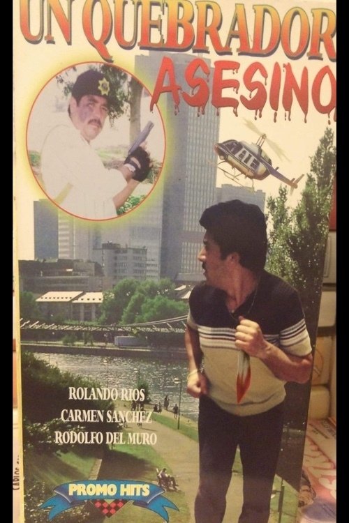 Un quebrador asesino (1995) poster