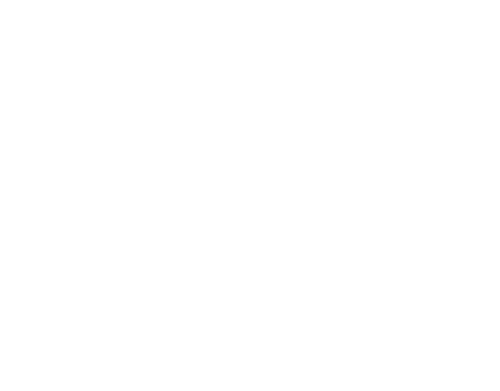 Callan Kicks The Year 2024