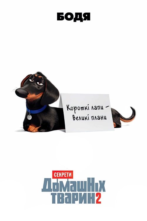 Posters