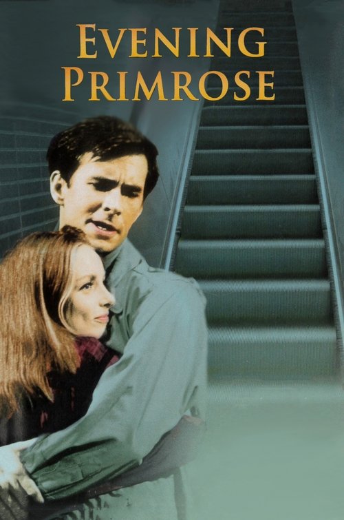 Evening Primrose poster