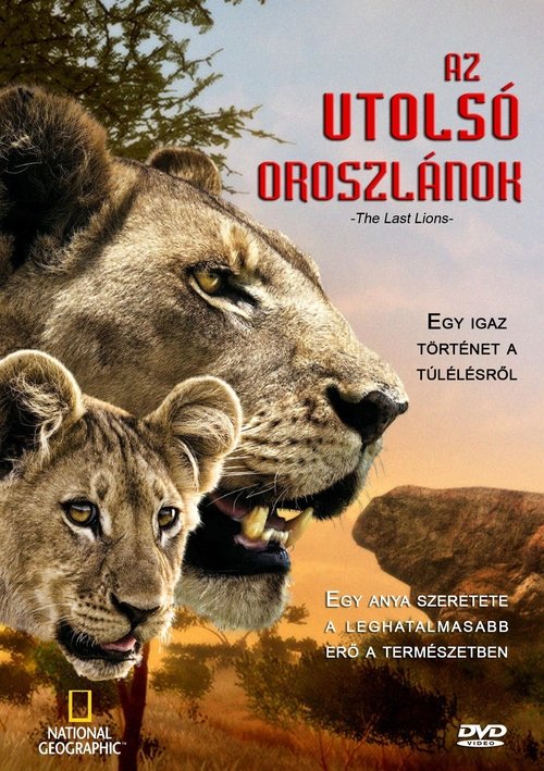 Az utolsó oroszlánok movie poster player