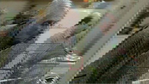 Image de l'épisode 2