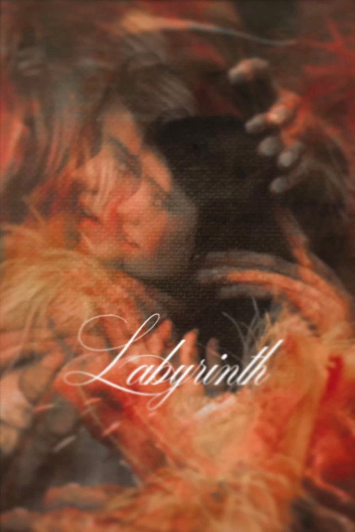 Poster 67 for Labyrinth