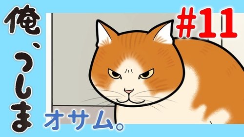 Image de l'épisode 11