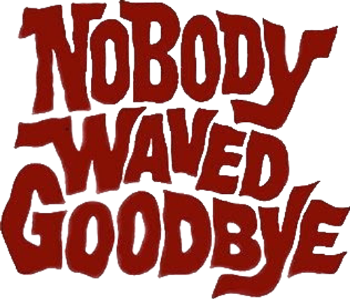 Nobody Waved Goodbye