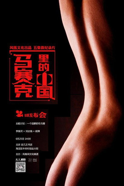 马赛克里的中国 (2015)