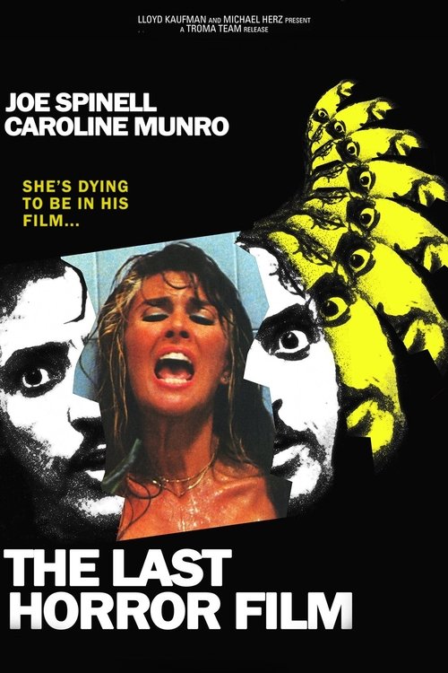 The Last Horror Film 1982