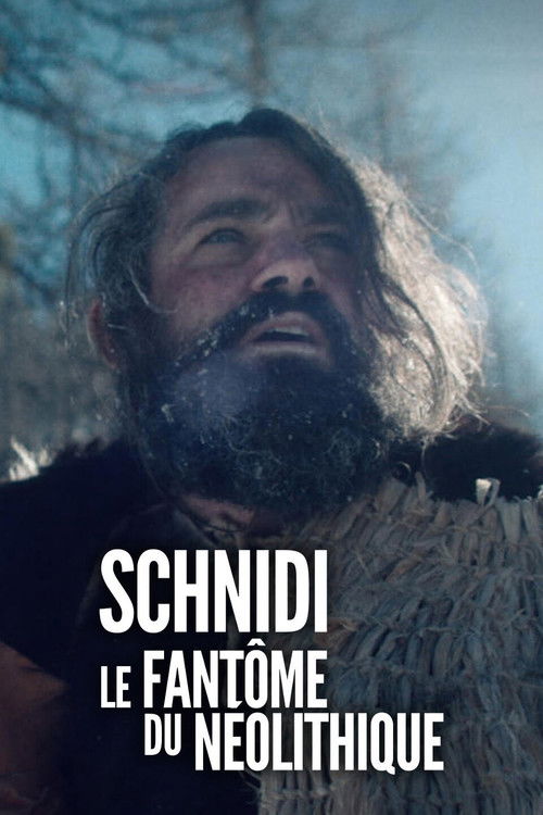 The Ghost of the Neolithic poster