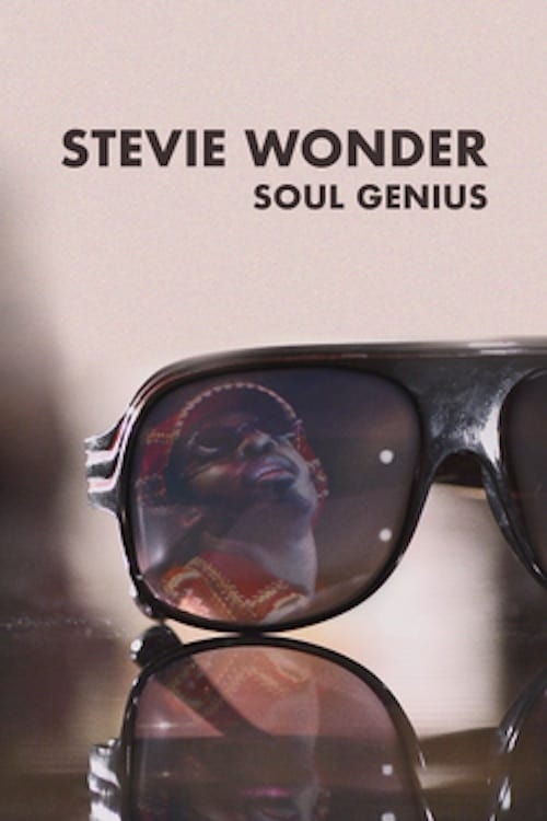 Stevie Wonder - Soul Genius 2013