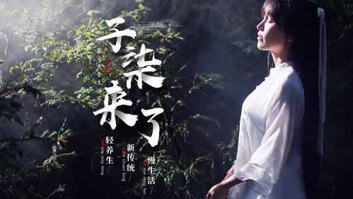 李子柒 - Season 1 Backdrop Blur