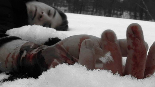 Frozen Heart Backdrop Blur