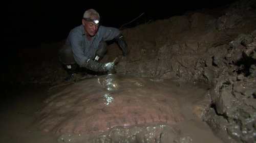 Poster della serie River Monsters